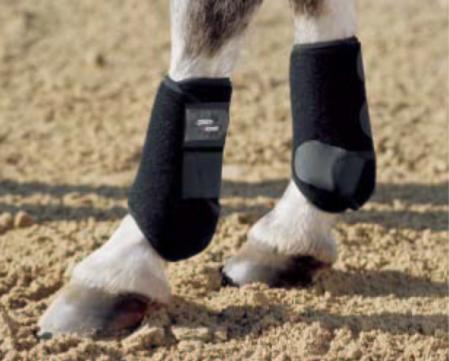 Tendon Boots - Pro Dressage pony boots - front