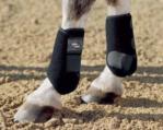Pro Dressage Boots - hind pony
