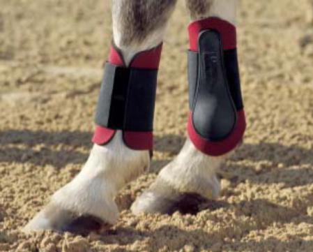 Tendon Boots - Pony Neoprene Boots hind