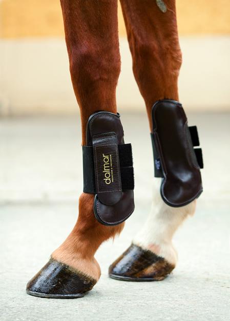 Leather Open Fronted Horse Tendon boots