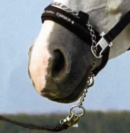 Spare ring for Control Head Collar